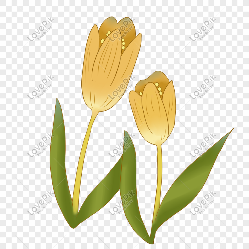 Những chiếc bông hoa màu vàng tỏa sáng lung linh trên màn hình là gì? Đó là hình ảnh từ bộ phim hoạt hình vẽ bông hoa độc đáo mà bạn không thể bỏ qua. Hãy xem ngay để lạc vào thế giới tuyệt vời của những bông hoa màu vàng.