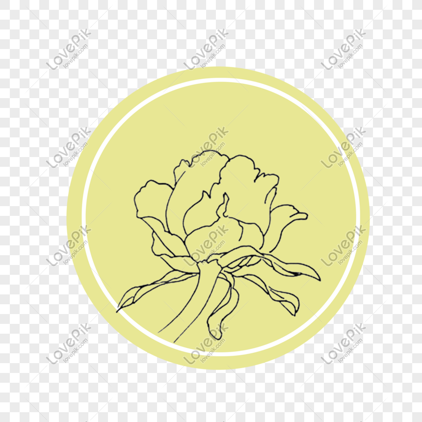 Bông hoa Mẫu đơn (Single chrysanthemum flower): Những cánh hoa Mẫu đơn duyên dáng rực rỡ sẽ đưa bạn vào một thế giới của sự tinh tế và thanh lịch. Họ có một vẻ đẹp tuyệt vời mà bạn sẽ không thể chối từ. Hãy đến và ngắm nhìn nó trong hình ảnh đầy màu sắc này và có một trải nghiệm tuyệt vời!