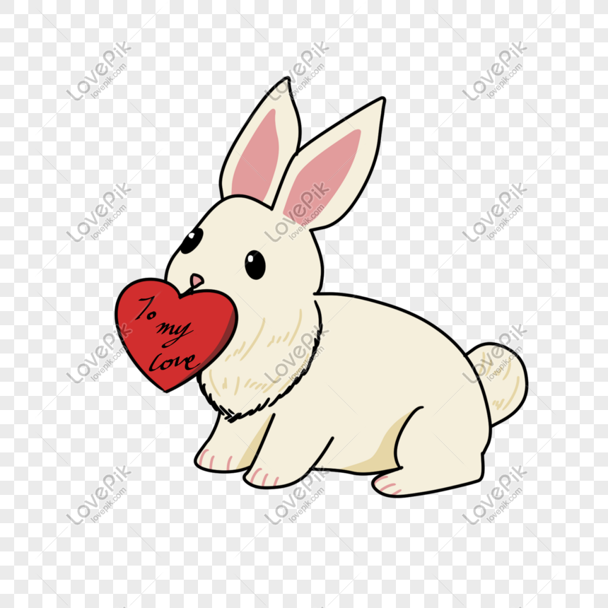 Pictures valentine bunny Lots of
