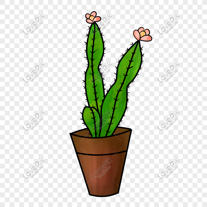 May Bulaklak Cactus Potted Illustrator Larawan Numero Ng Graphics Format Ng Larawan Psd Ph Lovepik Com