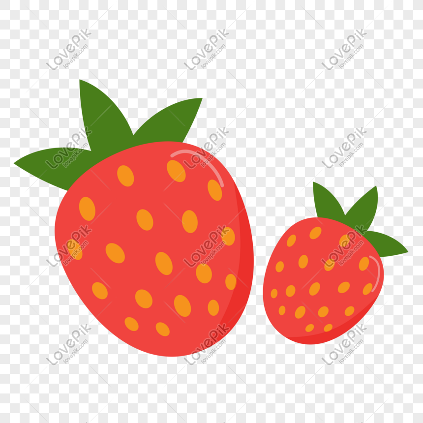 Hand Drawn Seductive Strawberry Vector Free Illustration PNG Image Free ...