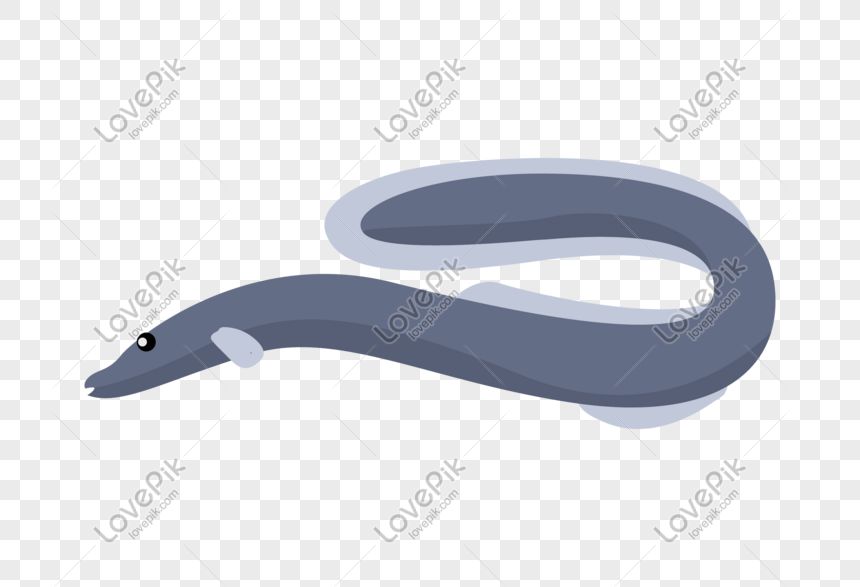 black squid hand drawn illustration png image picture free download 611716132 lovepik com lovepik