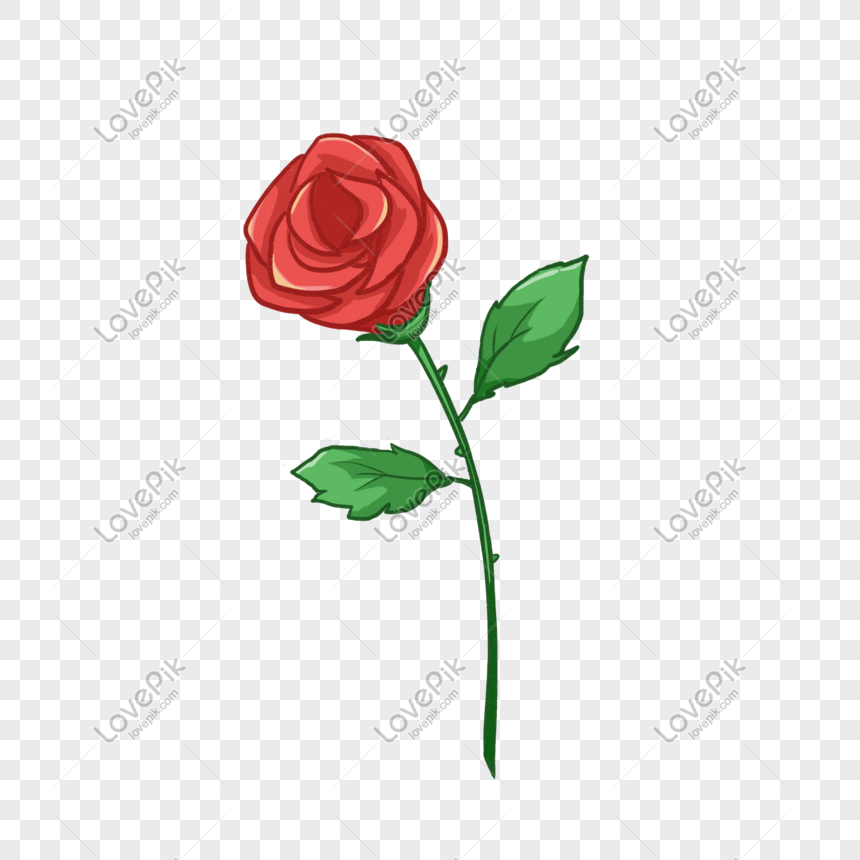 Rosas Rojas Del Día De San Valentín PNG Imágenes Gratis - Lovepik