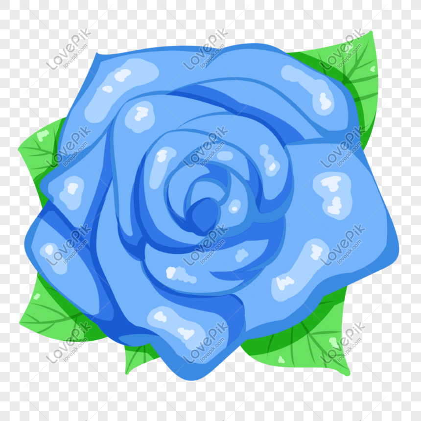 Rosa Azul De San Valentin PNG Imágenes Gratis - Lovepik