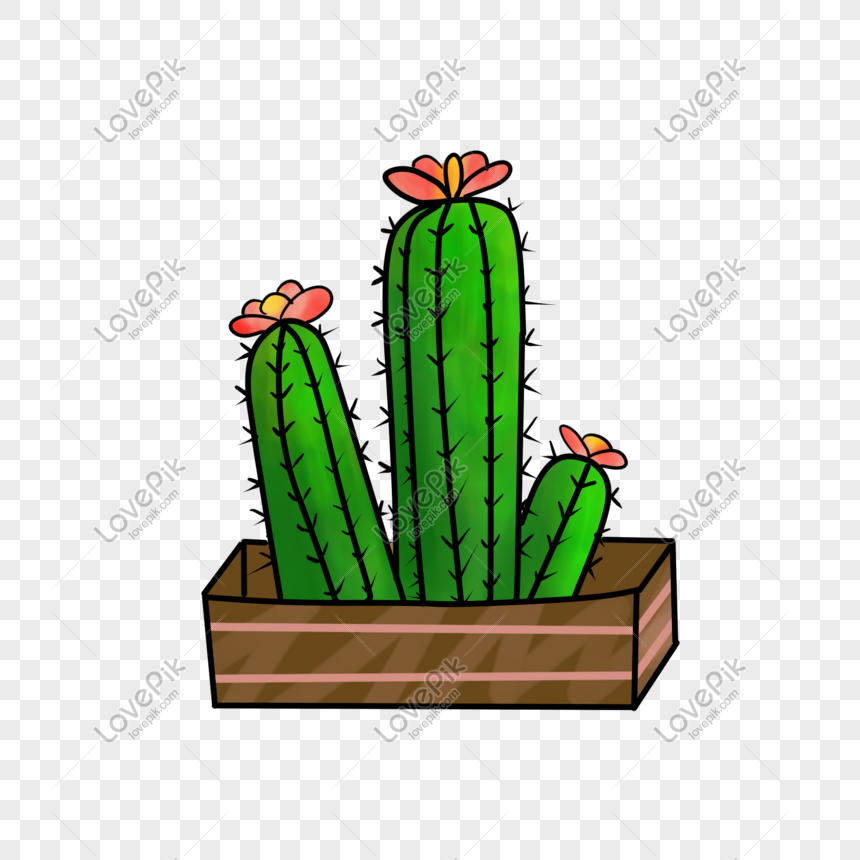 7 Cactus Illustration, Plant Drawing, Catus, Succulents, - Cactos Com  Flores Desenho Png - Free Transparent PNG Download - PNGkey