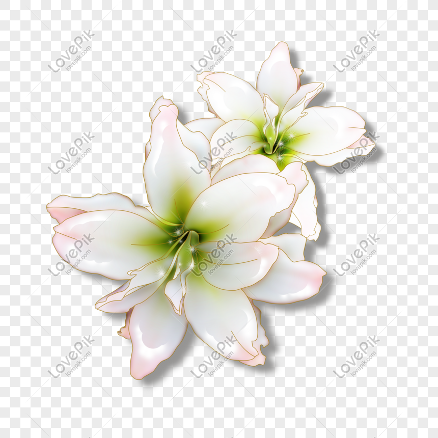 Bunga Bunga Indah Dan Indah Png Grafik Gambar Unduh Gratis Lovepik