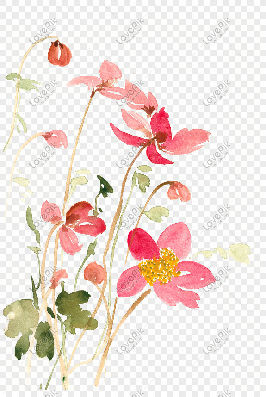 Combinación De Flores De Material Libre De Acuarela Png PNG Imágenes Gratis  - Lovepik
