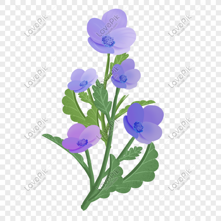 Hand Drawn Herb Illustration PNG Image And Clipart Image For Free ...