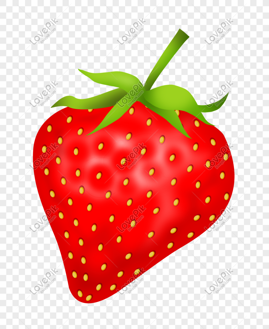 Ilustrasi Buah Strawberry Yang Digambar Tangan Png Grafik Gambar