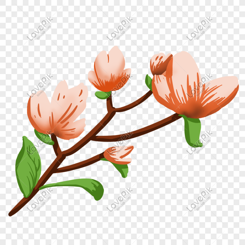 Beautiful Orange Pink Pick Flowers Illustration Png Image Psd File Free Download Lovepik 611713646