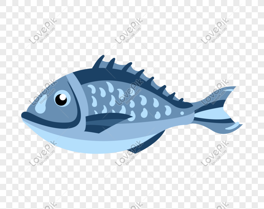 Hewan Laut Gambar Ilustrasi Ikan