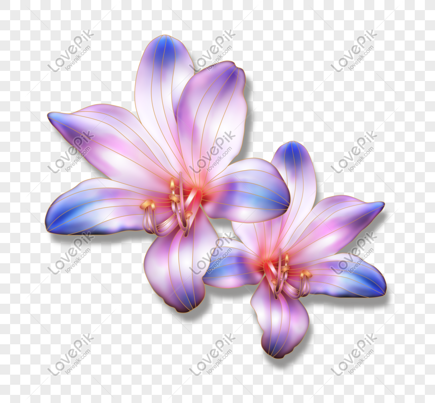 Flores Coloridas Del Arte PNG Imágenes Gratis - Lovepik