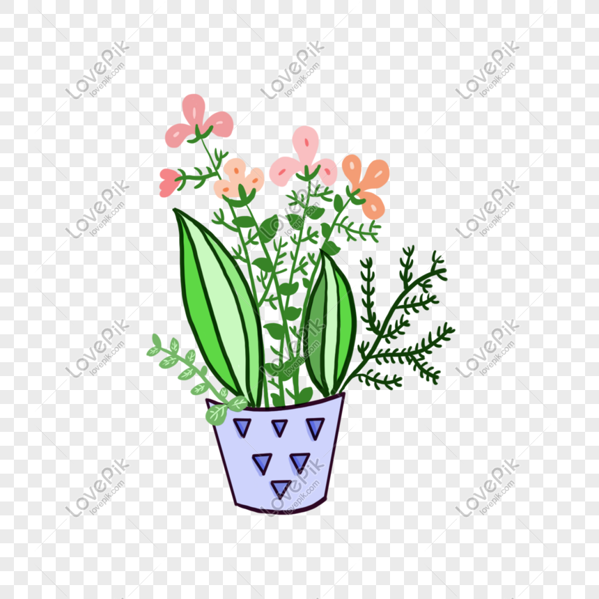 Cartoon Hand Drawn Simple Flower Pot Potted PNG Hd Transparent Image And  Clipart Image For Free Download - Lovepik | 611717474