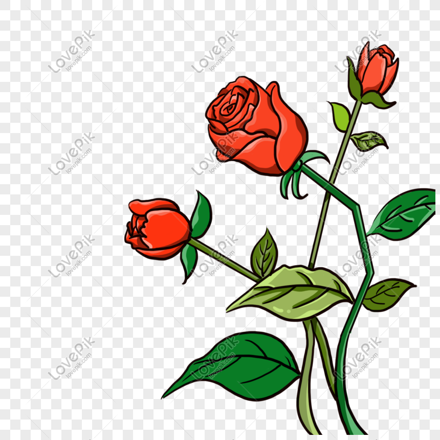 Minimalistic Cartoon Red With Dried Rose Png Image Picture Free Download 611717489 Lovepik Com