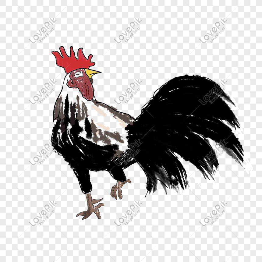 Hand Drawn Illustration Animal Cock Psd Source File PNG White Transparent  And Clipart Image For Free Download - Lovepik | 611752032