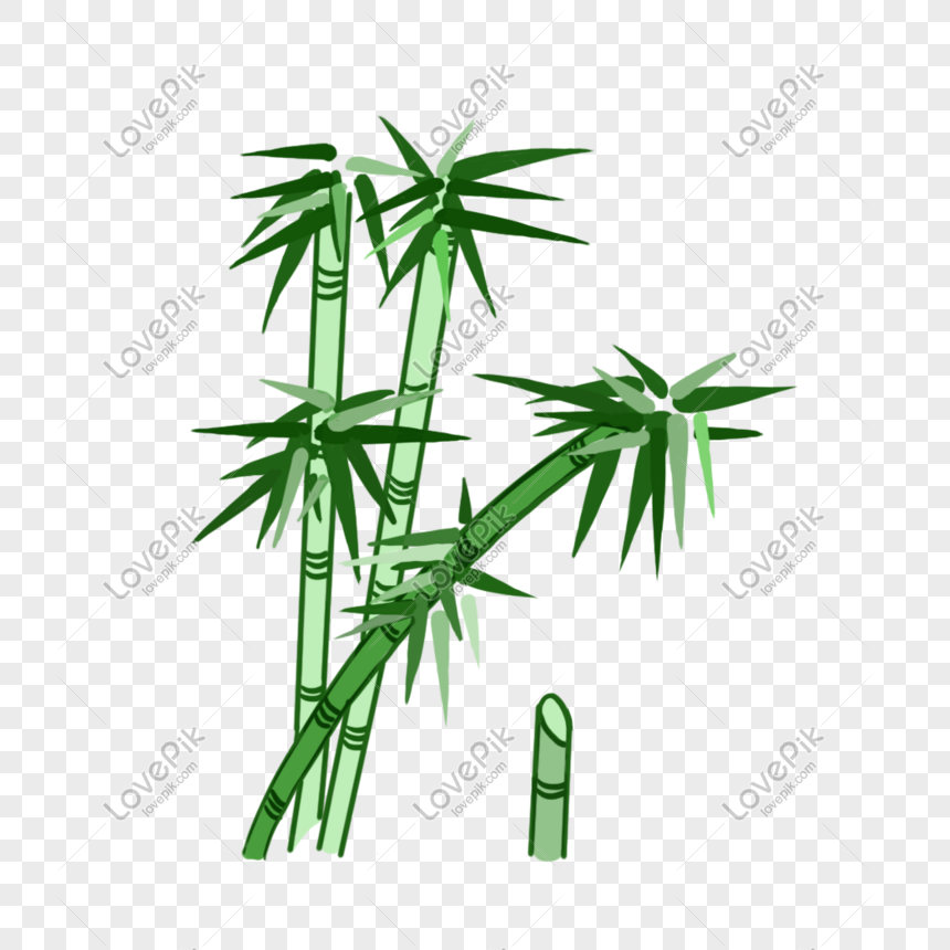 Kartun Lucu Tangan Ditarik Bambu Hijau Daun Bambu Gambar