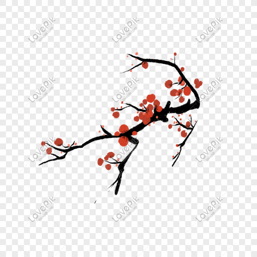 Plum blossom flower drawing