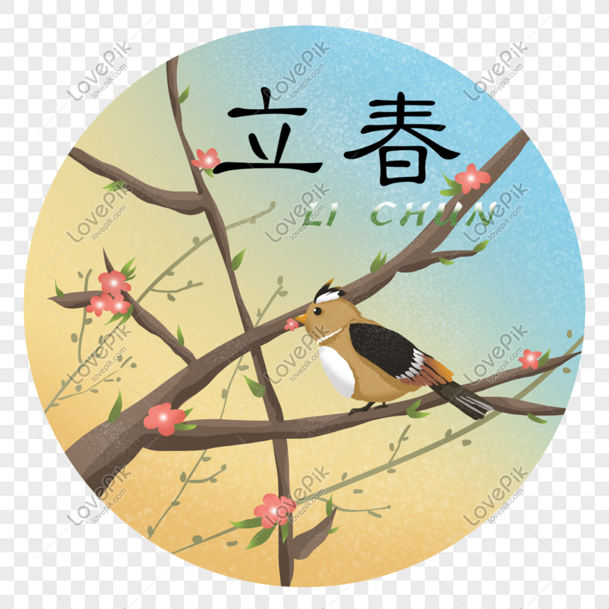16 птичек на китайском