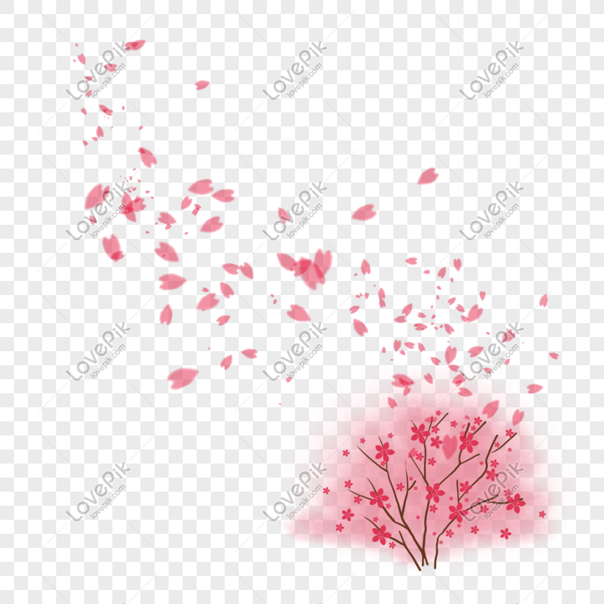 Petals Fall PNG Images With Transparent Background | Free Download ...