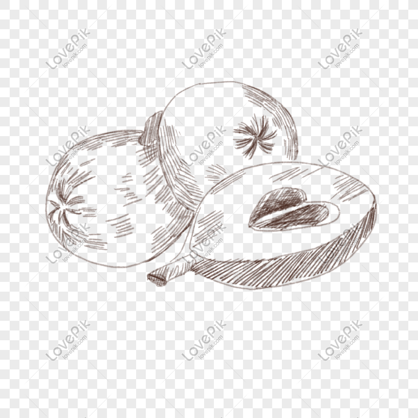 Hand Drawn Line Drawing Illustration PNG Picture And Clipart Image For ...
