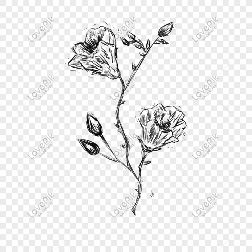 Hình ảnh Đường Vẽ Hoa đẹp PNG: Nếu bạn thích vẽ hoa thì hãy xem ngay thiết kế đường vẽ hoa đẹp dưới đây. Các hình ảnh hoa được trình bày rõ ràng, đẹp mắt và được lưu trữ dưới định dạng PNG để bạn có thể tải về và sử dụng ngay lập tức.