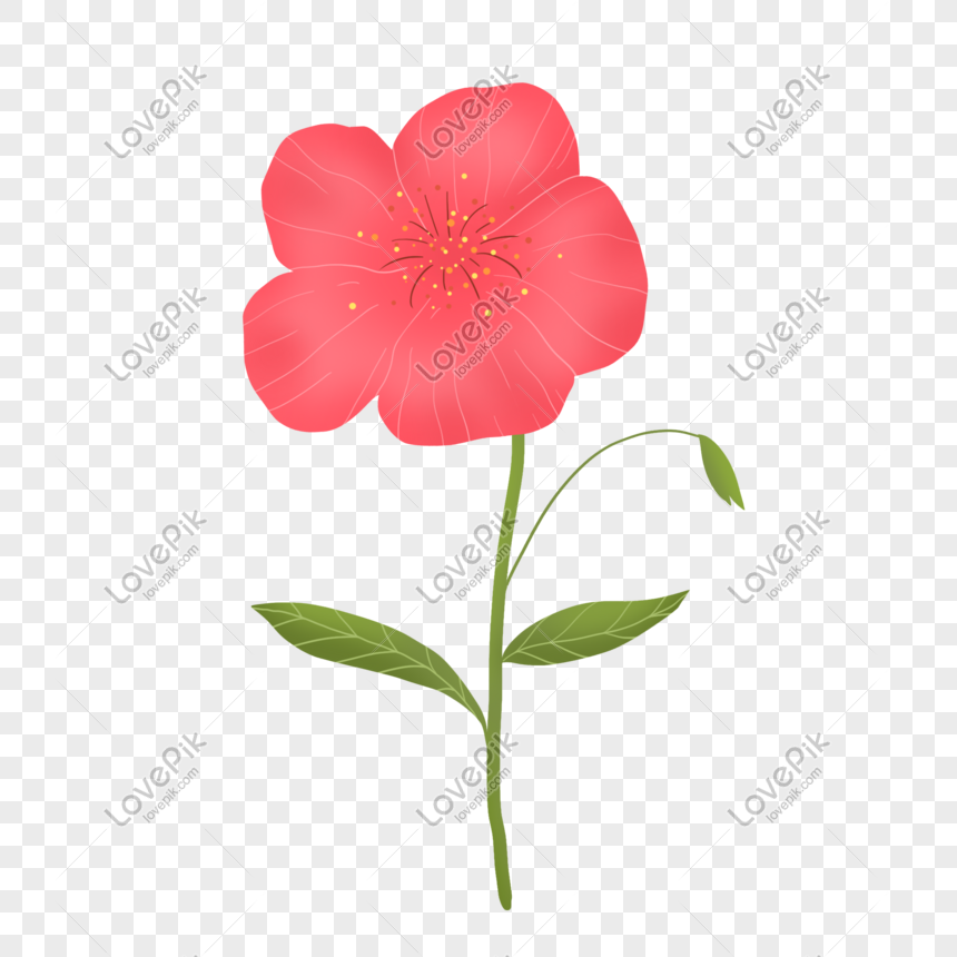 Gambar Bunga Mawar Kartun Berwarna Adzka