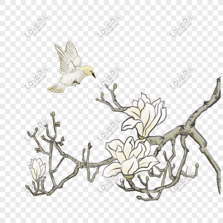 Bird on branch nightingale and flowers Royalty Free Vector