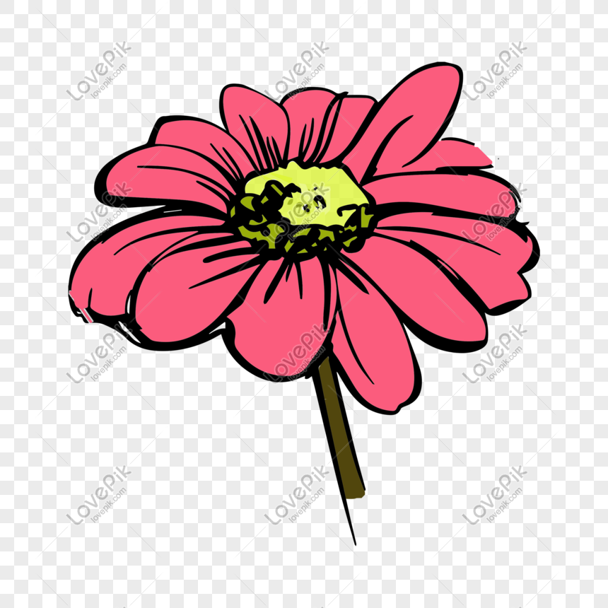  Dibujado A Mano Flores De Color Rosa De Dibujos Animados PNG Imágenes Gratis