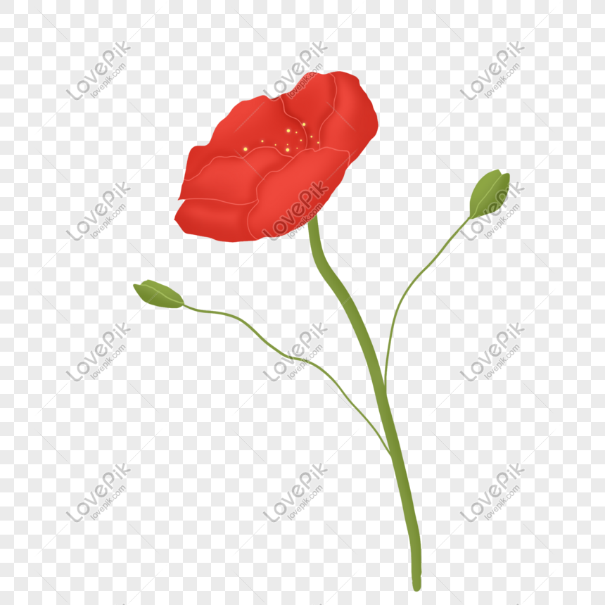 Hermosas Flores Rosas Rojas Espléndidas PNG Imágenes Gratis - Lovepik