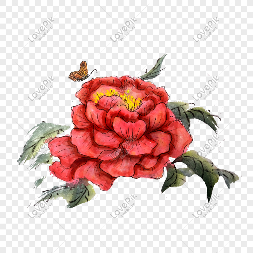 Hoa Mẫu đơn Trung Quốc là biểu tượng của sự giản dị và thanh tao. Hãy xem hình ảnh này để cảm nhận được sự thanh lịch và quý phái tinh tế của loài hoa đặc trưng cho nền văn hóa Trung Hoa.