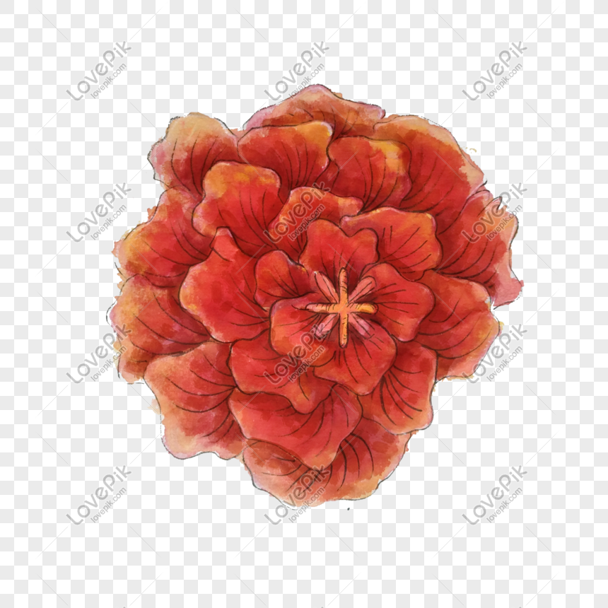Hình ảnh hoa mẫu đơn đỏ Trung Quốc sẽ làm cho trái tim bạn đập nhanh. Sự sang trọng và quý phái của loài hoa mẫu đơn được thể hiện qua hình ảnh này. Hãy đến để cảm nhận vẻ đẹp của hoa mẫu đơn đỏ và cảm nhận sức mạnh của nó.