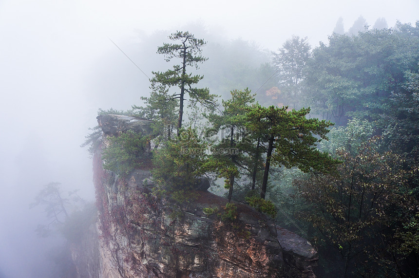 Taman Nasional Zhangjiajie Gambar Unduh Gratis Foto