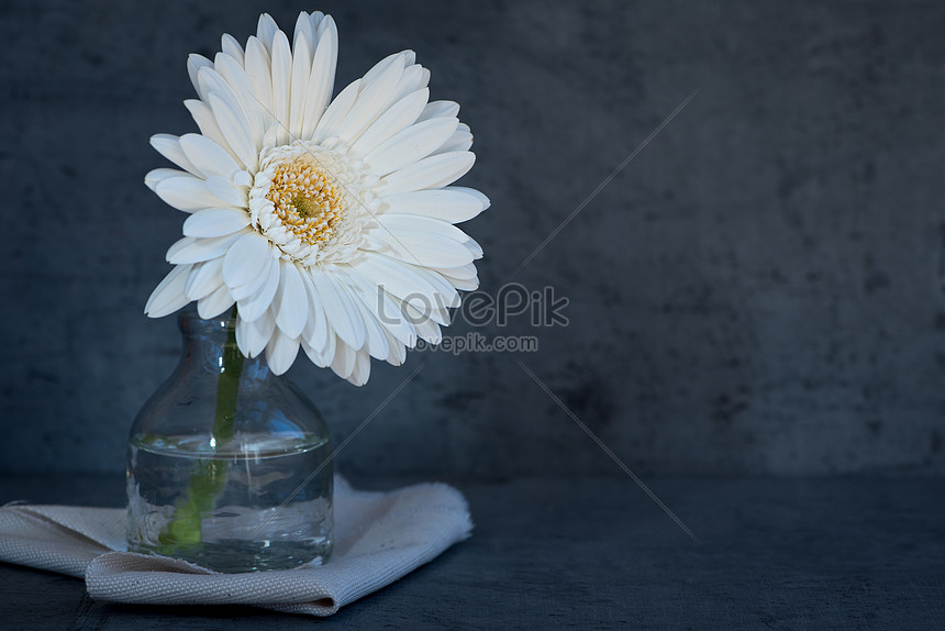 Photo De Fleur Blanche Sur Fond Noirnuméro De L