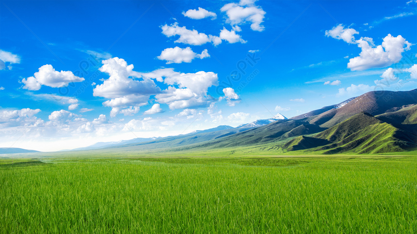 Blue Sky And Grass Picture And HD Photos | Free Download On Lovepik