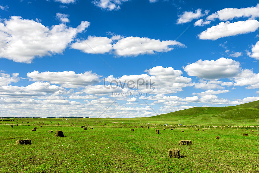 青い空 白い雲と草原イメージ 写真 Id Prf画像フォーマットjpg Jp Lovepik Com