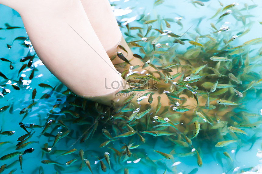 Terapi Ikan wanita yang sedang merendam kakinya di kolam terapi ikan, dengan ikan Garra rufa yang sedang bekerja mengelupas kulit mati, menggambarkan metode perawatan kulit alami yang populer