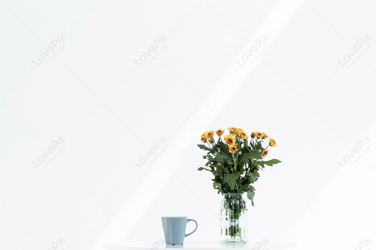 하얀 배경의 작은 꽃 사진 무료 다운로드 - Lovepik