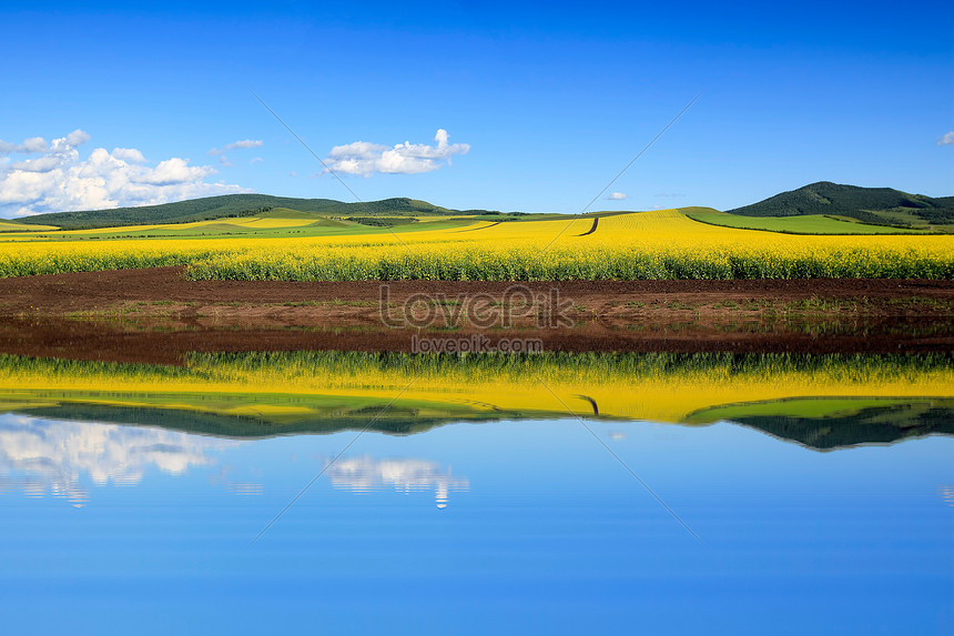 Hulun Buir Grassland Scenery Picture And HD Photos | Free Download On ...