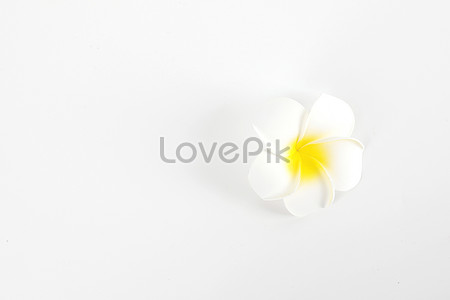 Beautiful White Background Images, HD Pictures For Free Vectors & PSD  Download 