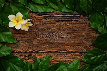 Tree Leaves Images, HD Pictures For Free Vectors & PSD Download -  