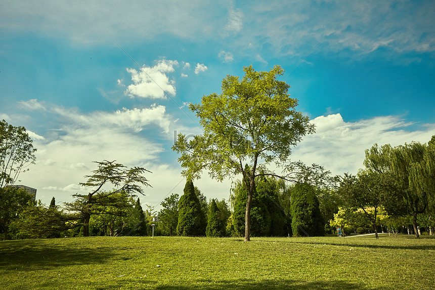 Không gian xanh mát, bình yên, cùng với cỏ xanh mượt mà đang mọc lên sẽ tạo nên bức tranh tuyệt đẹp cho nền màn hình của bạn. Với ảnh công viên bãi cỏ, bạn sẽ có cơ hội tận hưởng sự yên tĩnh, thư thái tuyệt đối trong suốt quãng thời gian ngắm nhìn bức tranh thiên nhiên đầy cảm hứng.