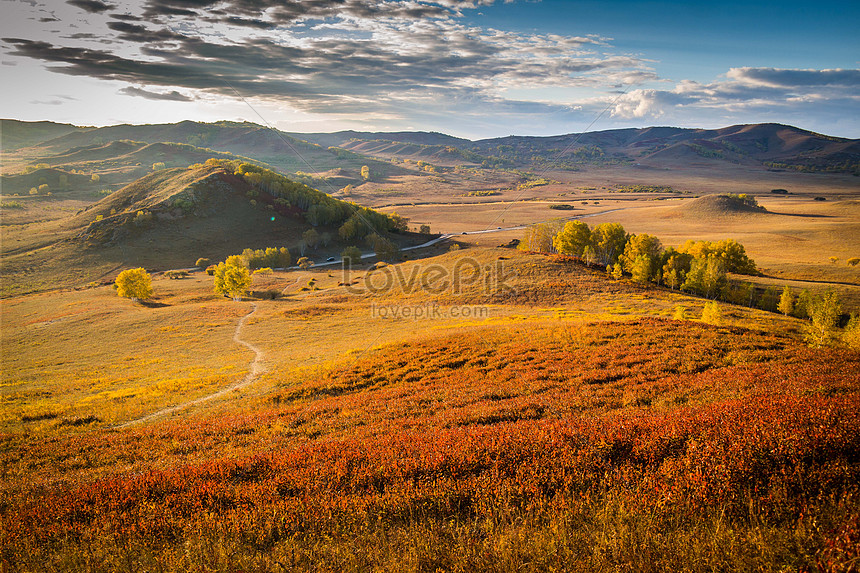 Bashang Grassland Picture And Hd Photos Free Download On Lovepik