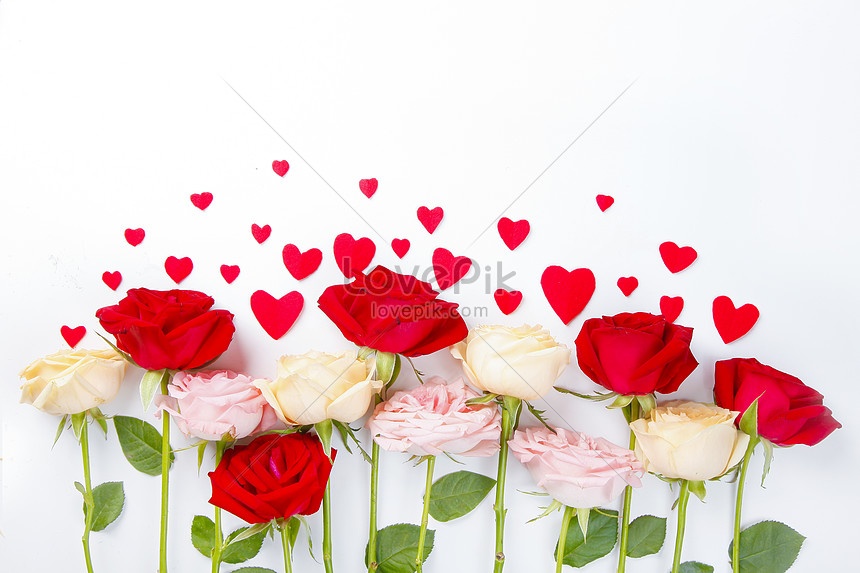 Hình ảnh về những bông hoa hồng lung linh tỏa sáng ngất ngây, mang đến cho ta vô vàn cảm xúc tuyệt vời. Nếu bạn yêu thích sự quyến rũ, sức hấp dẫn và nổi bật, hãy thưởng thức ngay hình ảnh này!