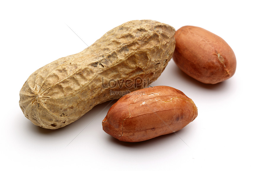 Peanut Picture And HD Photos | Free Download On Lovepik