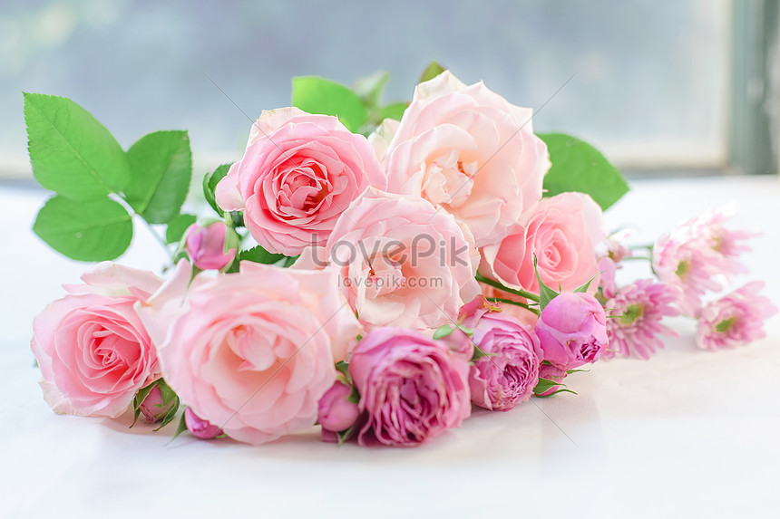Màu hồng được coi như là biểu tượng cho tình yêu và sự tràn đầy năng lượng. Trong hoa hồng, màu hồng đặc biệt tạo nên một vẻ đẹp tinh tế và quyến rũ cho cánh hoa tuyệt vời này. Hãy chiêm ngưỡng những bức ảnh hoa hồng màu hồng đầy quyến rũ và hấp dẫn này.