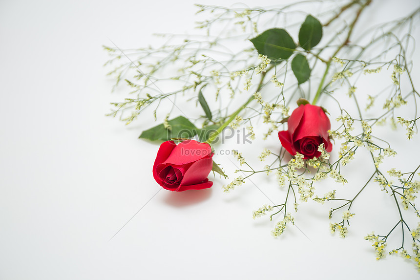 Romantic Roses Picture And Hd Photos Free Download On Lovepik