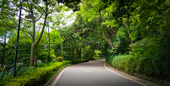Green Road Images, HD Pictures For Free Vectors & PSD Download 