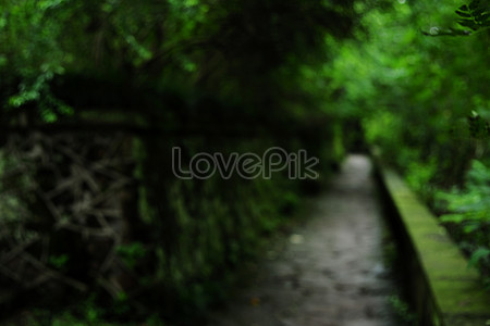 Download Green Background photos, Green Background images for free - Lovepik