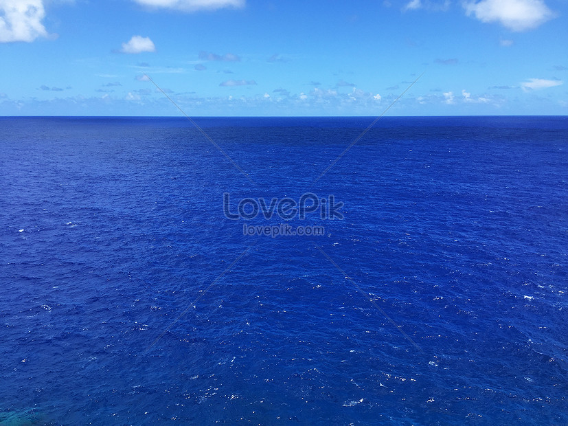 Pacific Customs Picture And HD Photos | Free Download On Lovepik