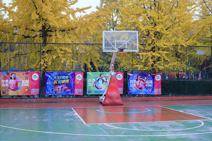 the-basketball-court-by-the-ginkgo-tree-picture-and-hd-photos-free